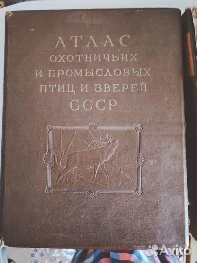 Атлас охотничьих и промысловых птиц и зверей 1953г