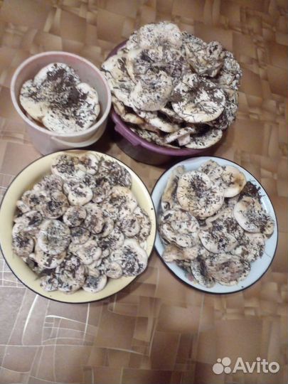 Грибы грузди свежие