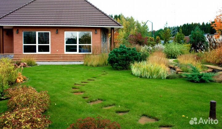Газон под ключ. Озеленение участка