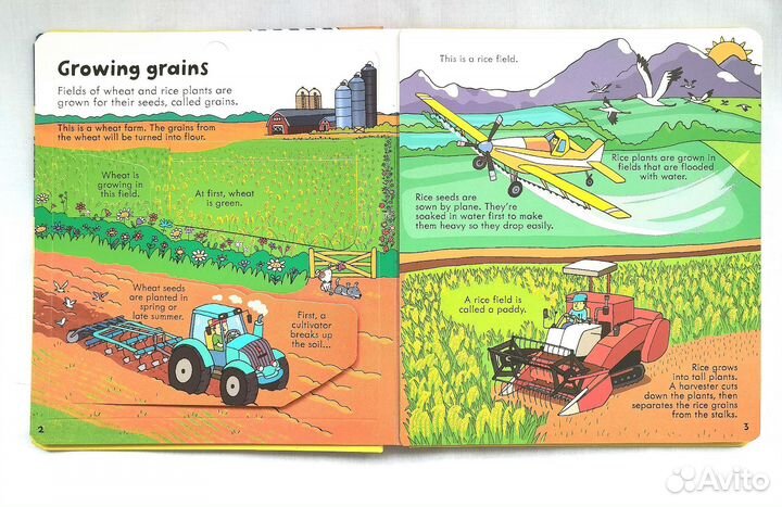 Usbome Look inside food
