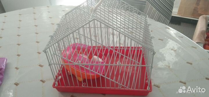 Клетка для хомяка