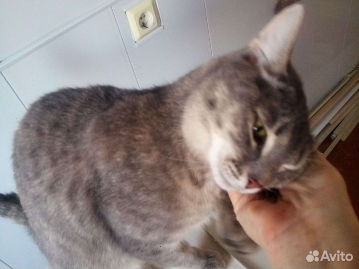 Малышка Тоня