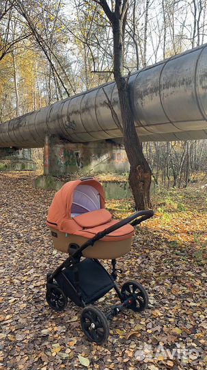 Коляска tutis viva life 2 в 1