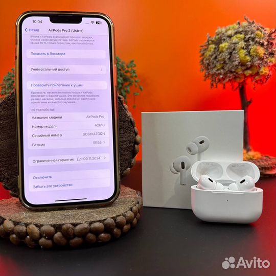 Airpods Pro 2 type c (гарантия+чехол)