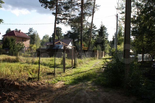 Авито лес. Чёрный луг садовое товарищество. Садовое товарищество сосняк, 42. Посёлок Лесной Пушкинский район девушки. Пос Лесной Мос обл ремонт парогенераторов.