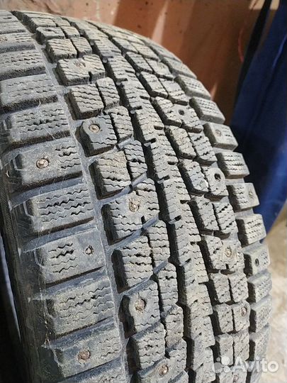 Dunlop Winter Maxx WM01 205/55 R16
