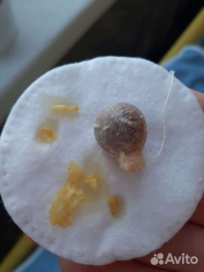 Тампоны 6шт