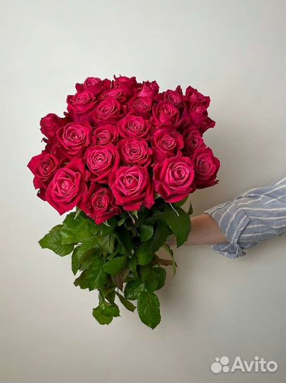 Роза букет 25 шт. Голландия Свежая