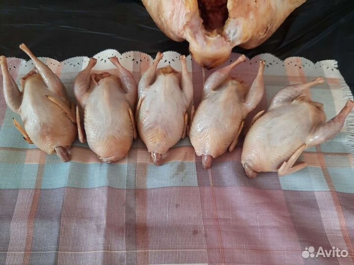 Мясо перепела Куры Индейка Утка