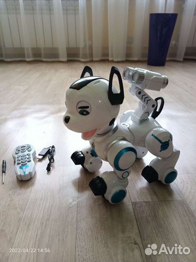 Робот-собака
