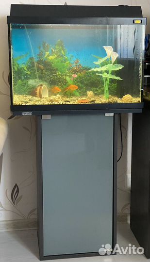 Аквариум с тумбой и рыбками