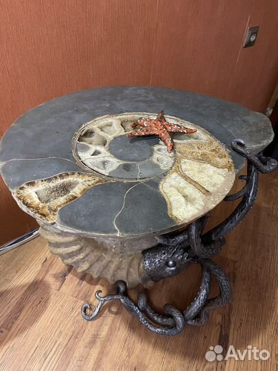 Авторский стол. С аммонитами. Палеонтология