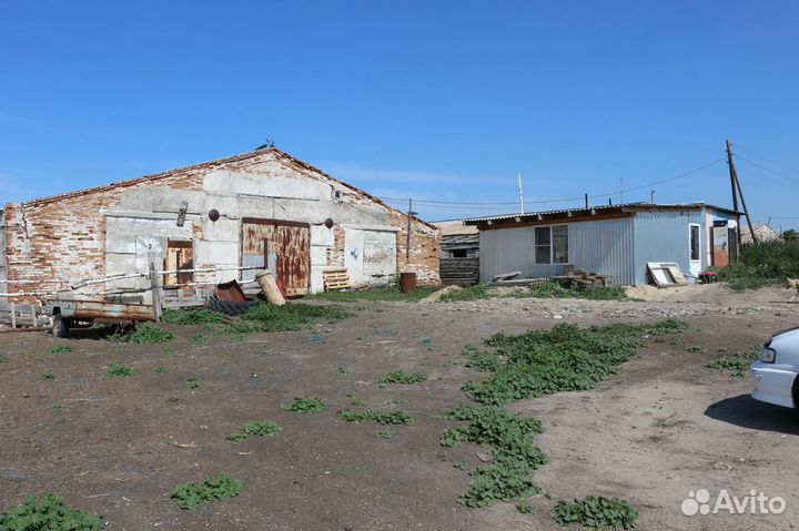 Фермерское хозяйство