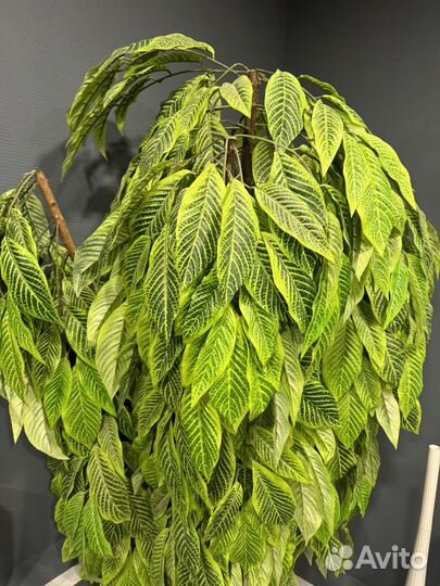 Искусственное дерево пальма