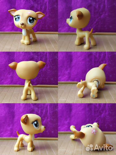 Littlest pet shop кошки, собаки