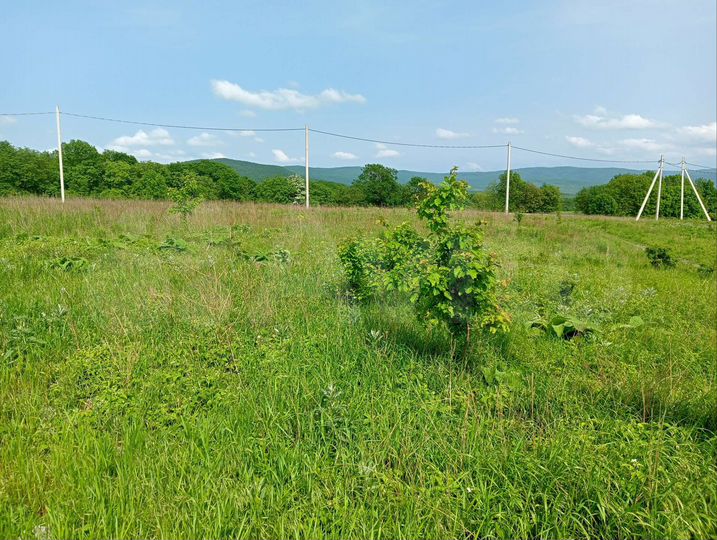 Участок 10 сот. (СНТ, ДНП)