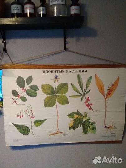 Плакаты винтажные(школьные СССР)