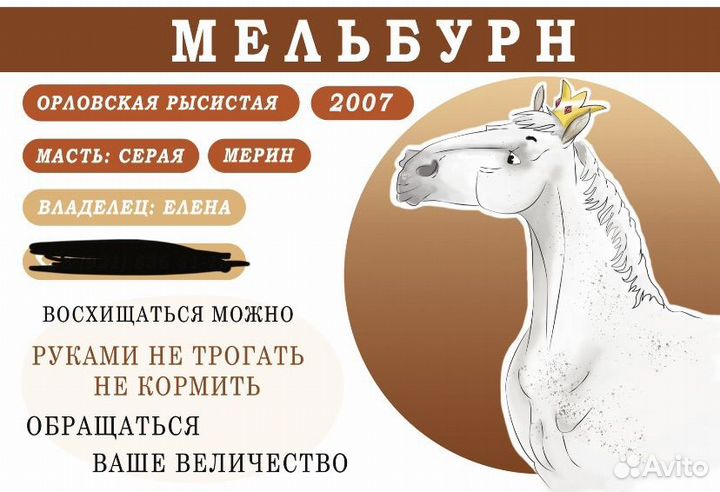 Табличка для денника для лошади