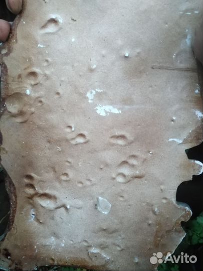 Чеканка СССР