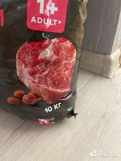 Корм для собак