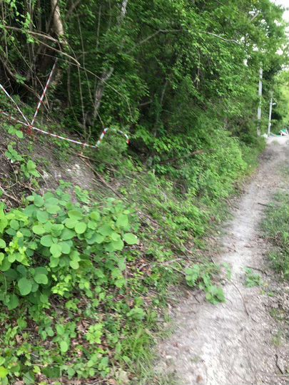 Участок 15 сот. (СНТ, ДНП)