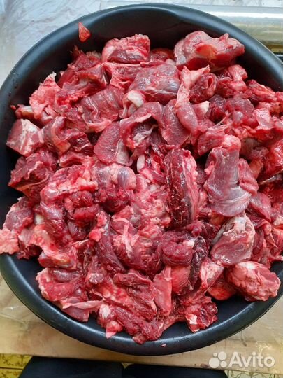 Мясные продукты для собак Коломна