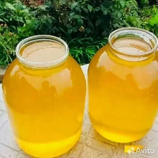 Мед гречишный