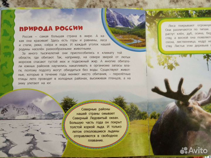 Книги в ассортименте