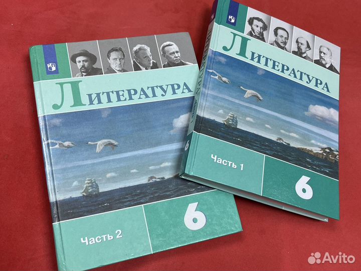 Литература 6 класс Коровина 2019-2022 год