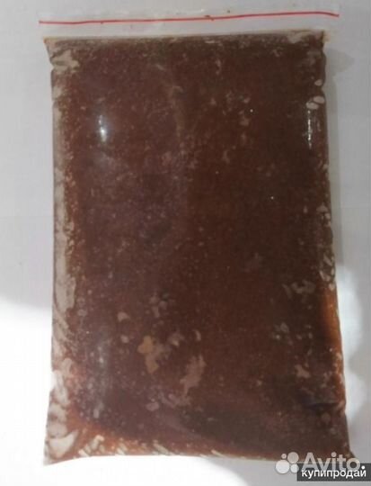 Циклоп заморозка