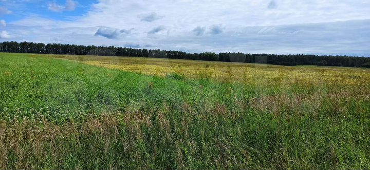 Участок 14 га (ИЖС)