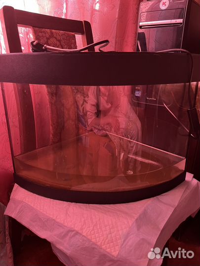 Аквариум 30 литров