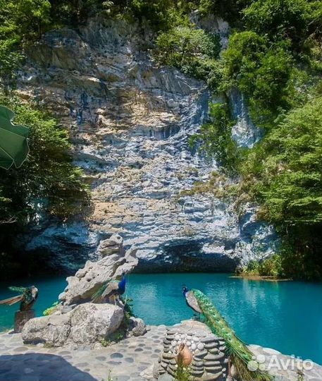 Тур в Абхазию / Гагра / Озеро Рица / Новый Афон