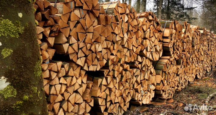 Дрова в печку