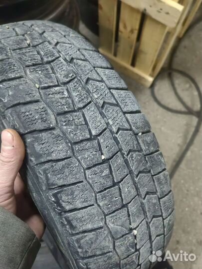 Dunlop Winter Maxx 175/65 R14 82T