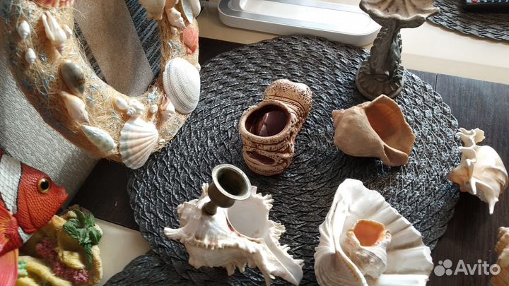 Морские ракушки раковины и коралы