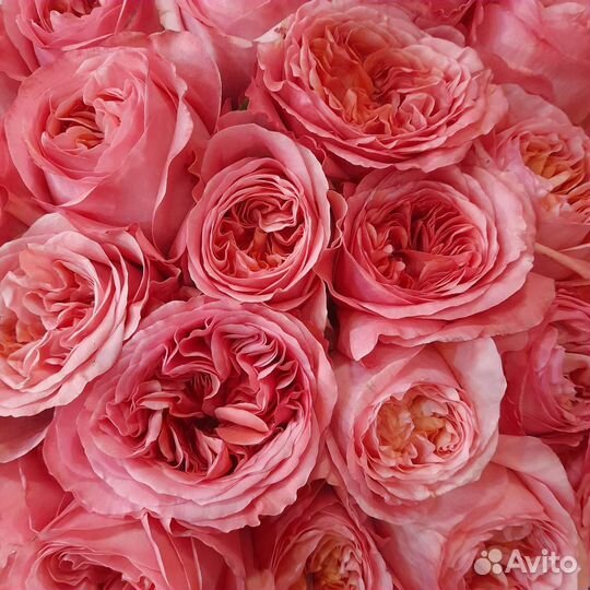 Продвец флорист