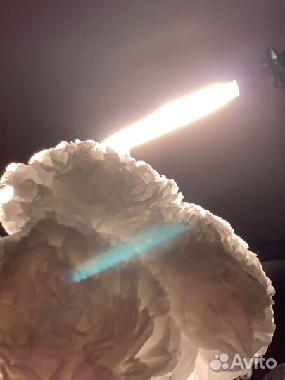 Бумажные Пионы