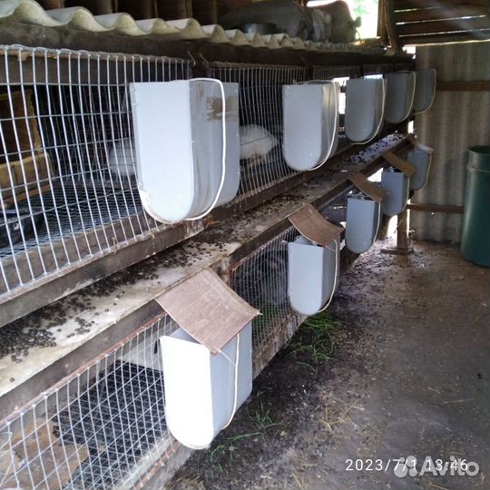 Бункерная кормушка для кроликов