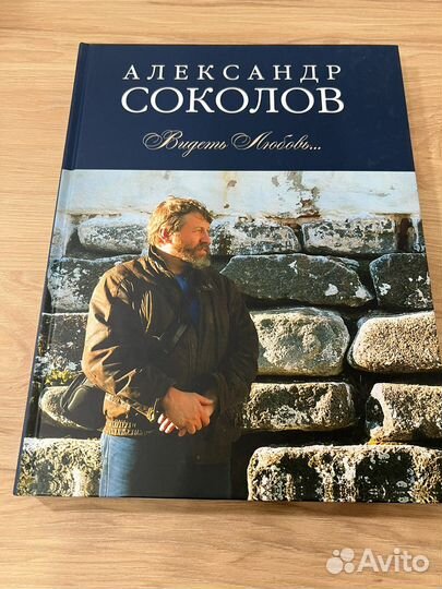 Александр Соколов - Видеть любовь