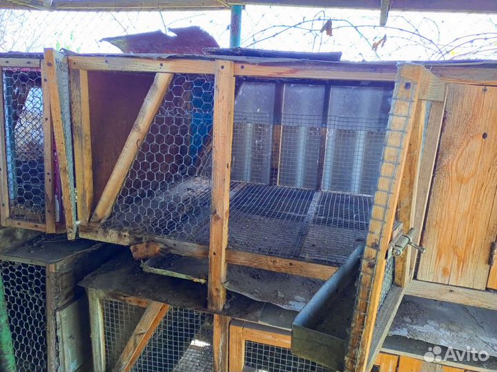 Кроличьи клетки