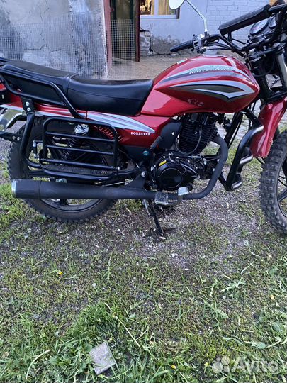 Motoland forester 200
