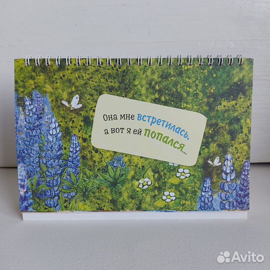 Котопланер Синие коты Рины Зенюк