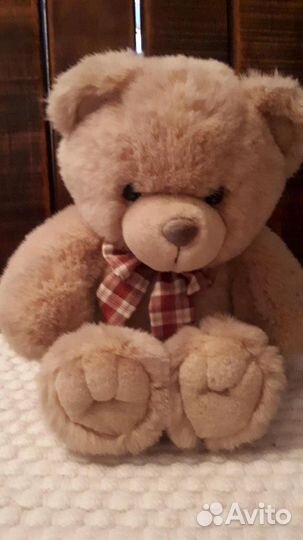 Плюшевый медведь