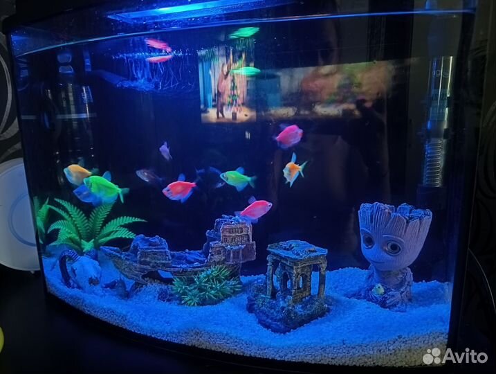 Аквариум