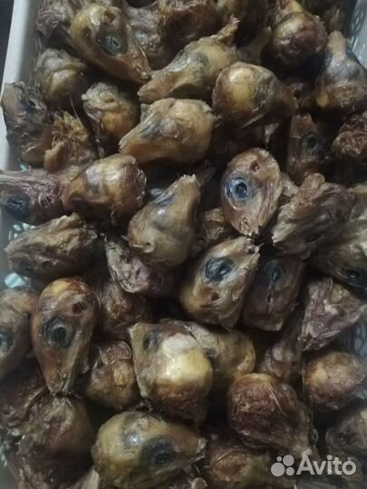 Лакомства для собак и кошек