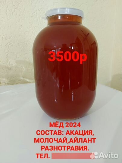 Телки на мясо