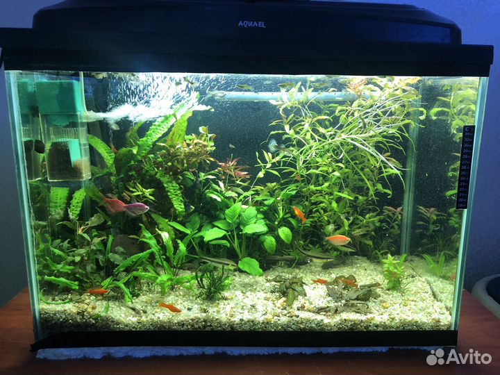 Аквариум