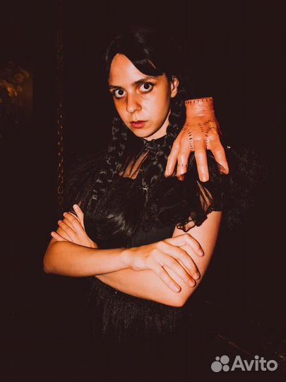 Аниматор Уэнсдей Квест Барби Квест Уэнсдей