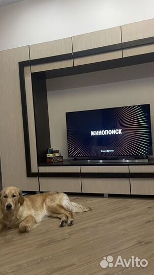 Телевизор SMART tv 49 LED